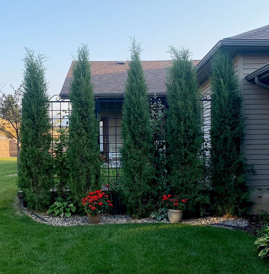 Woodward Juniper in Casper