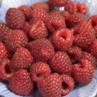 ‘Heritage’ Raspberry