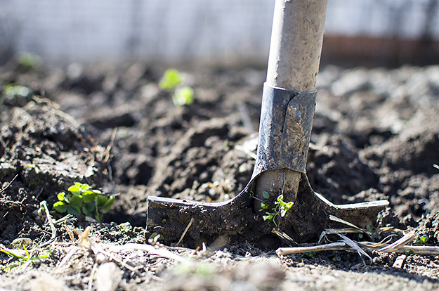 Adding amendments to your soil