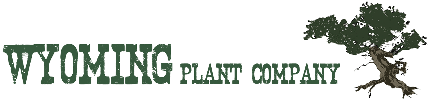 Wyoming Plant Company logo
