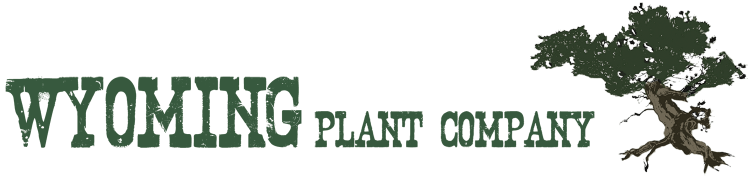 Wyoming Plant Company logo